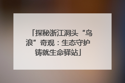探秘浙江洞头“鸟浪”奇观：生态守护铸就生命驿站