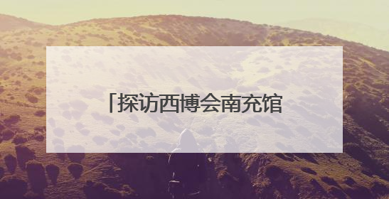 探访西博会南充馆 62家企业携“拳头”产品参展