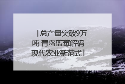 总产量突破9万吨 青岛蓝莓解码现代农业新范式