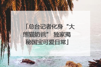 总台记者化身“大熊猫奶爸” 独家揭秘国宝可爱日常