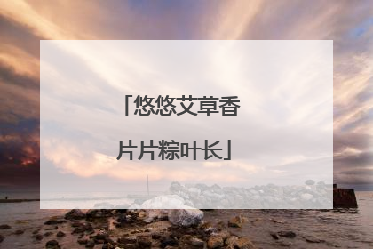 悠悠艾草香 片片粽叶长