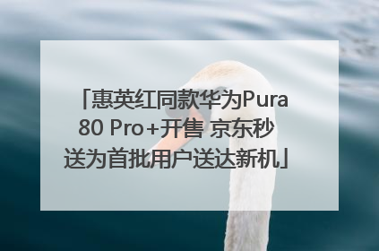 惠英红同款华为Pura 80 Pro+开售 京东秒送为首批用户送达新机