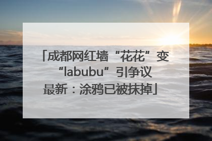 成都网红墙“花花”变“labubu”引争议 最新：涂鸦已被抹掉