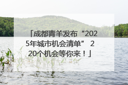 成都青羊发布“2025年城市机会清单” 220个机会等你来！
