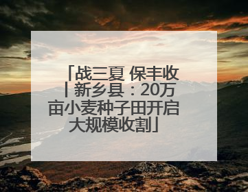 战三夏 保丰收丨新乡县：20万亩小麦种子田开启大规模收割