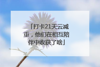 打卡21天云减重，他们在相互陪伴中收获了啥