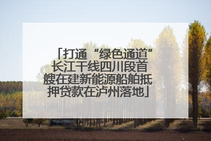 打通“绿色通道” 长江干线四川段首艘在建新能源船舶抵押贷款在泸州落地