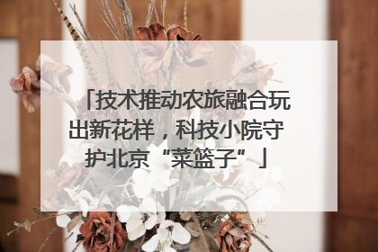 技术推动农旅融合玩出新花样，科技小院守护北京“菜篮子”