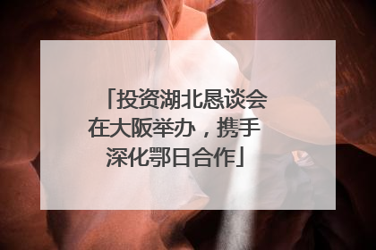 投资湖北恳谈会在大阪举办，携手深化鄂日合作