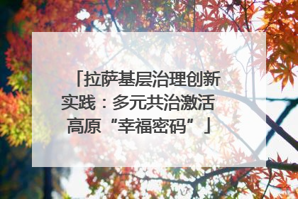 拉萨基层治理创新实践：多元共治激活高原“幸福密码”