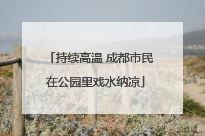 持续高温 成都市民在公园里戏水纳凉
