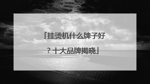挂烫机什么牌子好？十大品牌揭晓