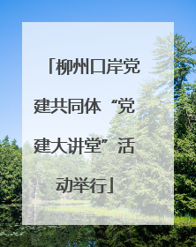 柳州口岸党建共同体“党建大讲堂”活动举行