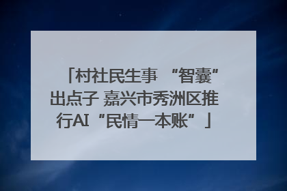 村社民生事 “智囊”出点子 嘉兴市秀洲区推行AI“民情一本账”