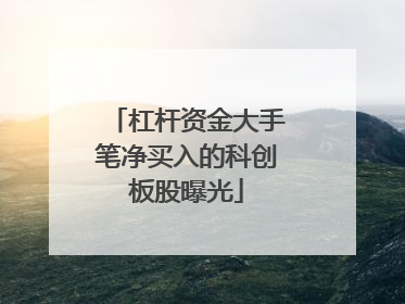 杠杆资金大手笔净买入的科创板股曝光