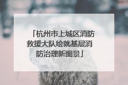 杭州市上城区消防救援大队绘就基层消防治理新图景
