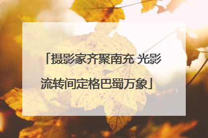 摄影家齐聚南充 光影流转间定格巴蜀万象