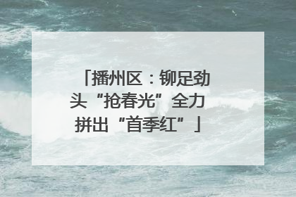 播州区：铆足劲头“抢春光”全力拼出“首季红”