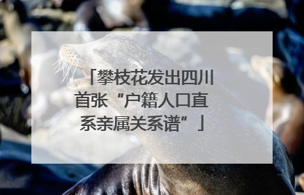 攀枝花发出四川首张“户籍人口直系亲属关系谱”