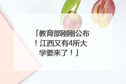 教育部刚刚公布！江西又有4所大学要来了！