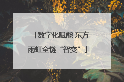 数字化赋能 东方雨虹全链“智变”