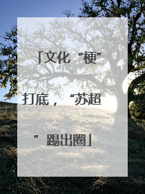 文化“梗”打底，“苏超”踢出圈