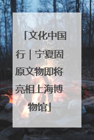 文化中国行｜宁夏固原文物即将亮相上海博物馆