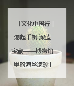 文化中国行｜浪起千帆 深蓝宝藏——博物馆里的海丝遗珍