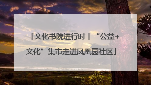 文化书院进行时丨“公益+文化”集市走进凤凰园社区