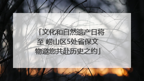 文化和自然遗产日将至 崂山区5处省保文物邀您共赴历史之约