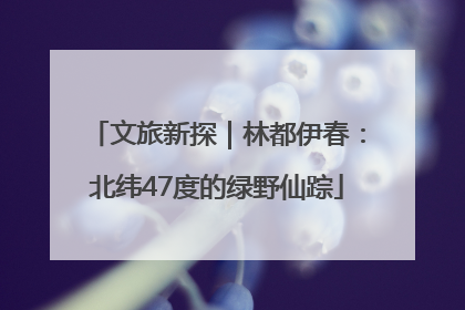 文旅新探｜林都伊春：北纬47度的绿野仙踪