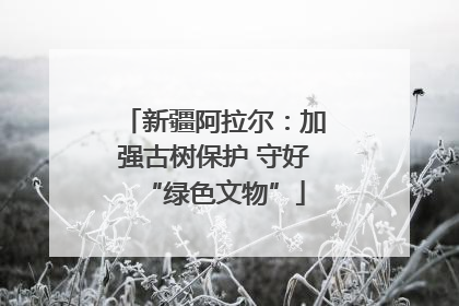 新疆阿拉尔：加强古树保护 守好“绿色文物”