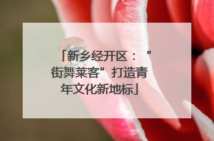 新乡经开区：“街舞莱客”打造青年文化新地标