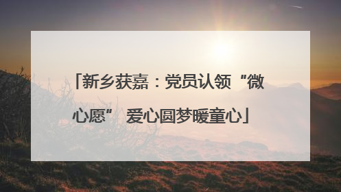 新乡获嘉：党员认领“微心愿” 爱心圆梦暖童心