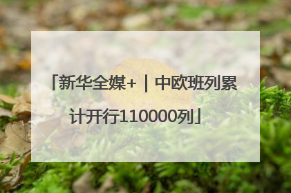 新华全媒+｜中欧班列累计开行110000列