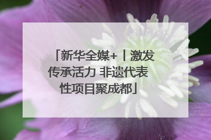 新华全媒+丨激发传承活力 非遗代表性项目聚成都