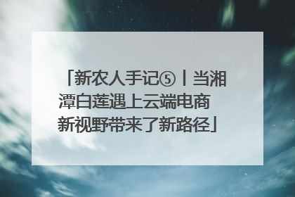 新农人手记⑤丨当湘潭白莲遇上云端电商 新视野带来了新路径