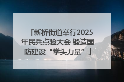 新桥街道举行2025年民兵点验大会 锻造国防建设“拳头力量”
