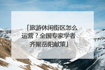 旅游休闲街区怎么运营？全国专家学者齐聚岳阳献策