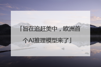 旨在追赶美中，欧洲首个AI推理模型来了