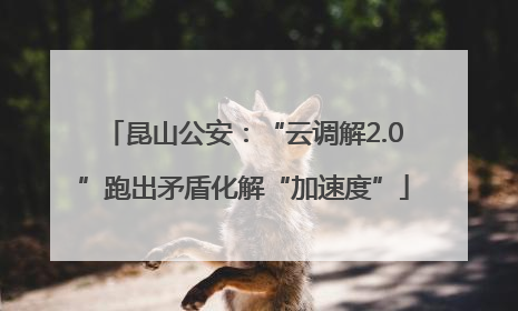 昆山公安：“云调解2.0”跑出矛盾化解“加速度”