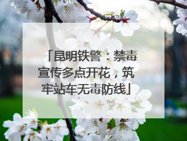 昆明铁警：禁毒宣传多点开花，筑牢站车无毒防线