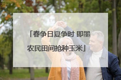 春争日夏争时 即墨农民田间抢种玉米