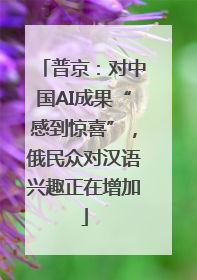 普京：对中国AI成果“感到惊喜”，俄民众对汉语兴趣正在增加