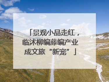 景观小品走红，临沭柳编藤编产业成文旅“新宠”