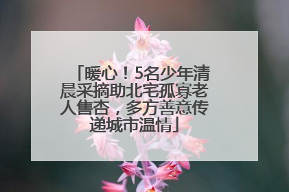 暖心！5名少年清晨采摘助北宅孤寡老人售杏，多方善意传递城市温情