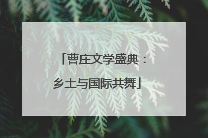 曹庄文学盛典：乡土与国际共舞