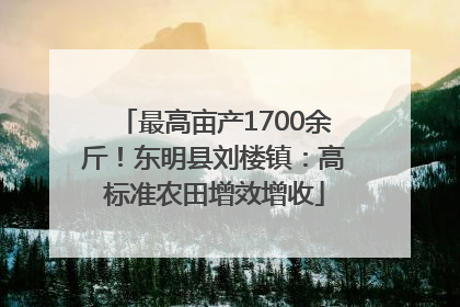 最高亩产1700余斤！东明县刘楼镇：高标准农田增效增收