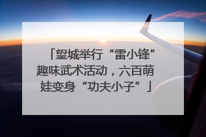 望城举行“雷小锋”趣味武术活动，六百萌娃变身“功夫小子”