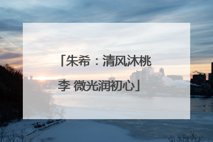 朱希：清风沐桃李 微光润初心